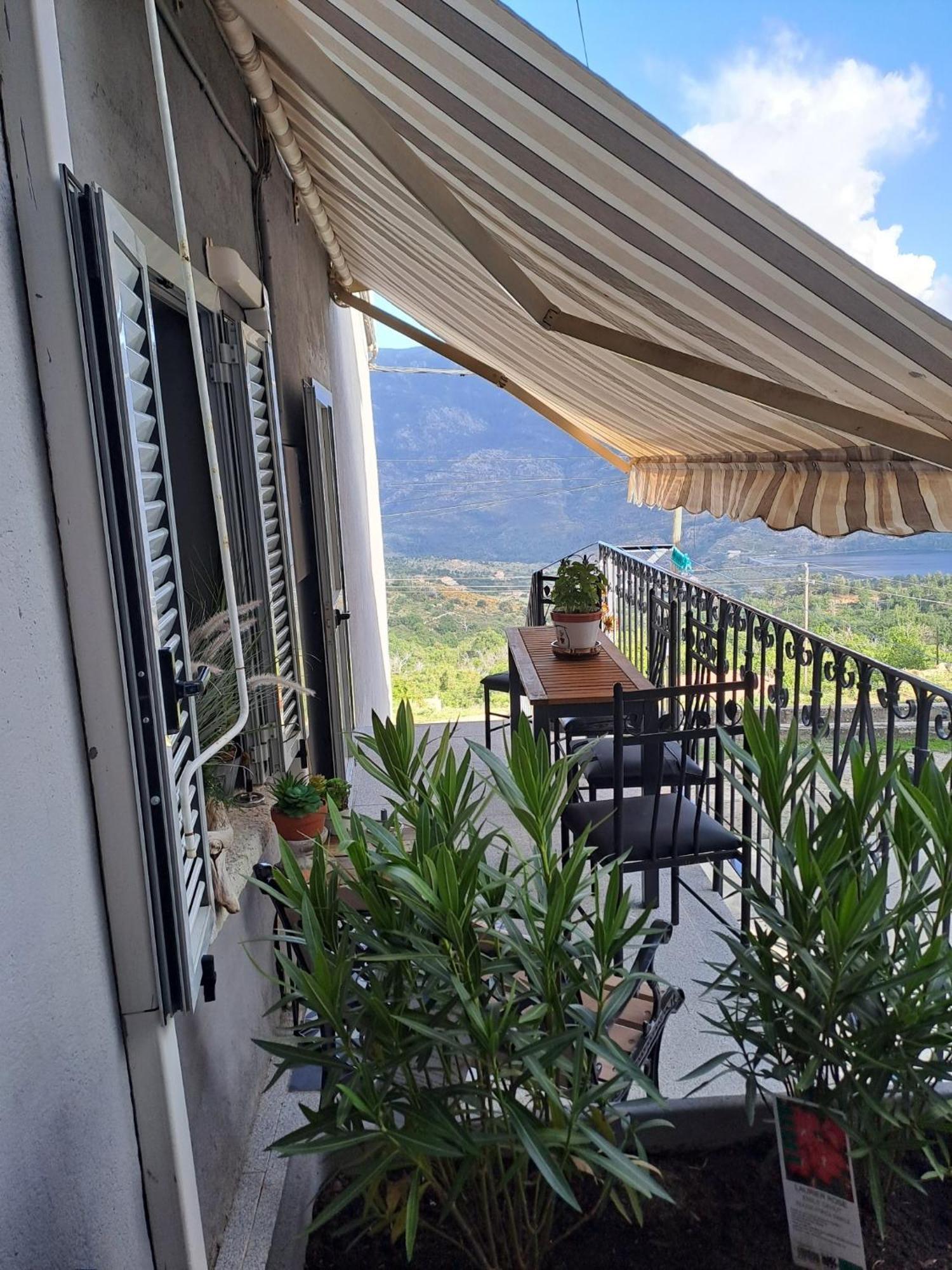 Location En Corse Au Pied Du Monte Cintu Lejlighed Lozzi Eksteriør billede